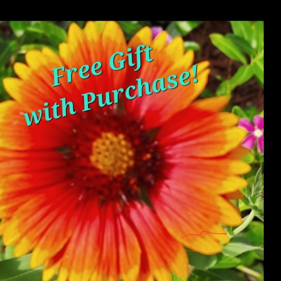 FREE GIFT Seeds with Purchase! - Picture 1 of 11